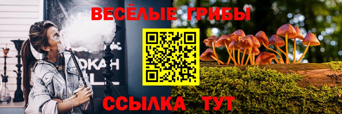 Псилоцибиновые грибы GOLDEN TEACHER Обь