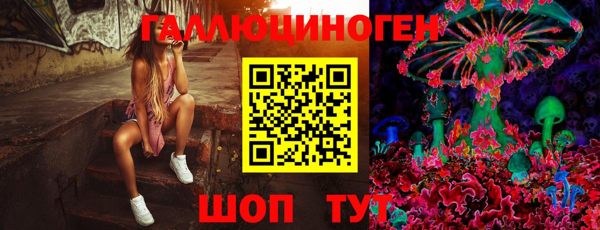 Галлюциногенные грибы Cubensis  Вход с VPN  Обь  Псилоцибиновые грибы прущие грибы 